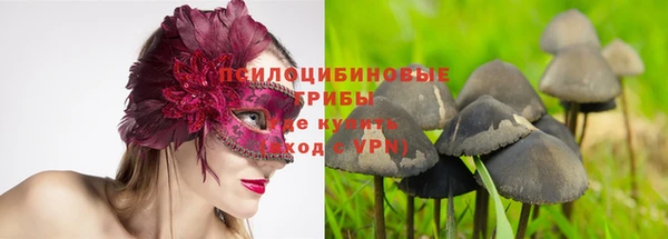 дурь Алексеевка